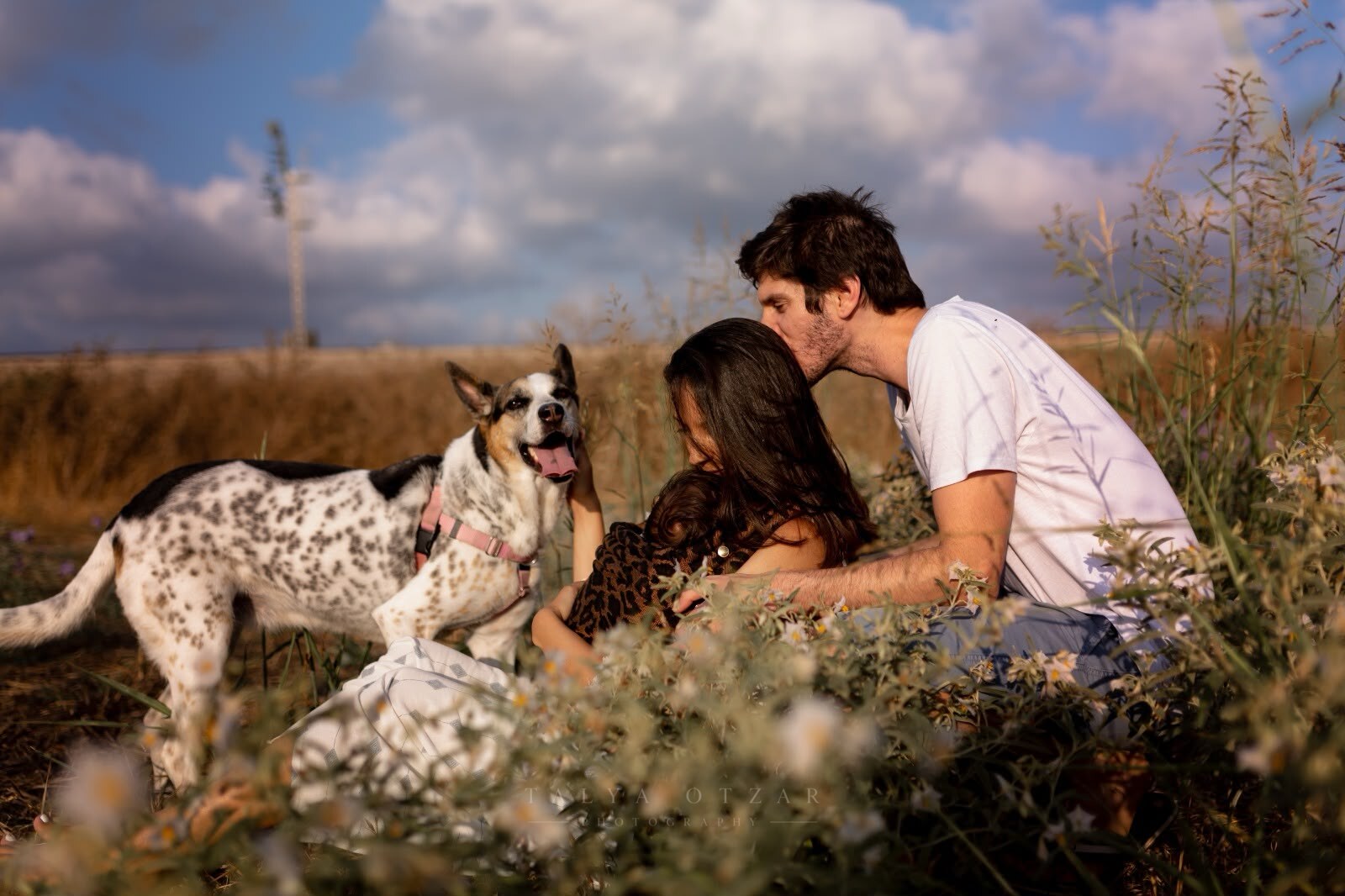 A father kissing the mother's head as they sit together in the wildflowers with the baby and the dog