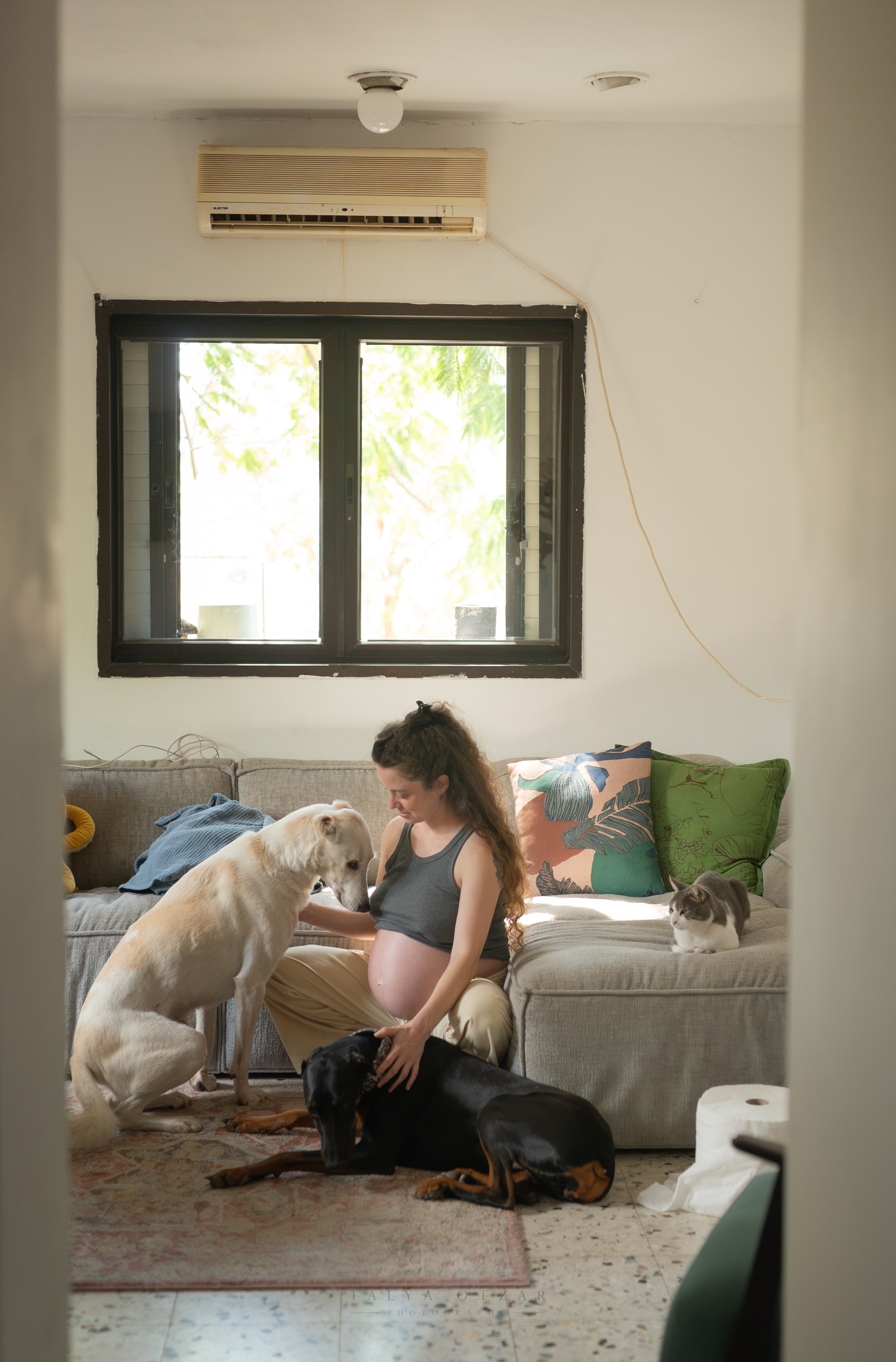 A pregnant woman on the sofa with her two dogs, the cat watching from the cushions