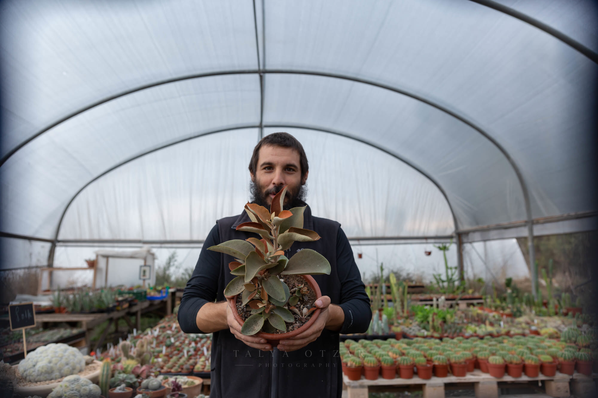 A nurseryman holding a potted succulent up to his face inside a polytunnel
