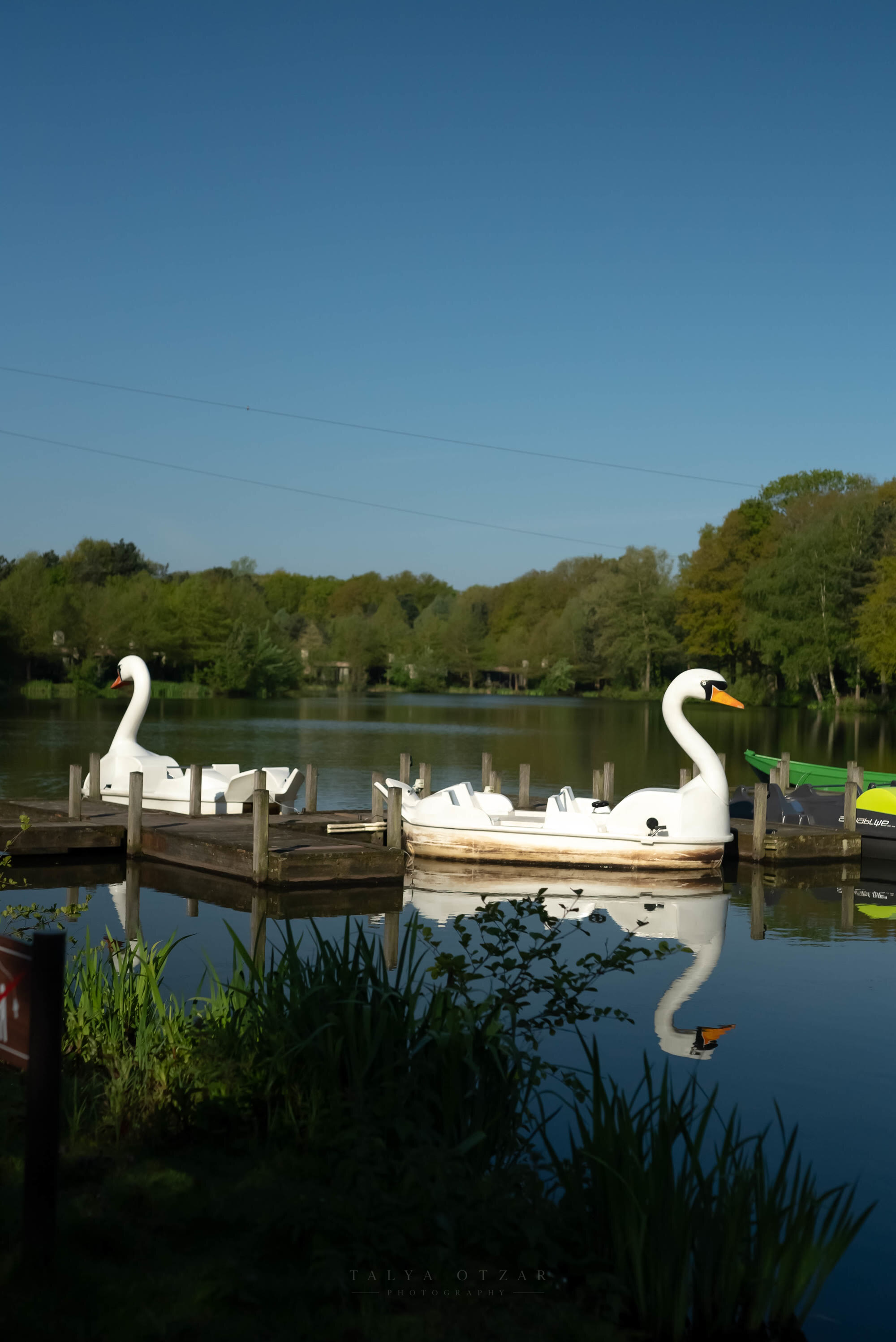 Two swan pedalos moored at a wooden jetty on a still, wooded lake