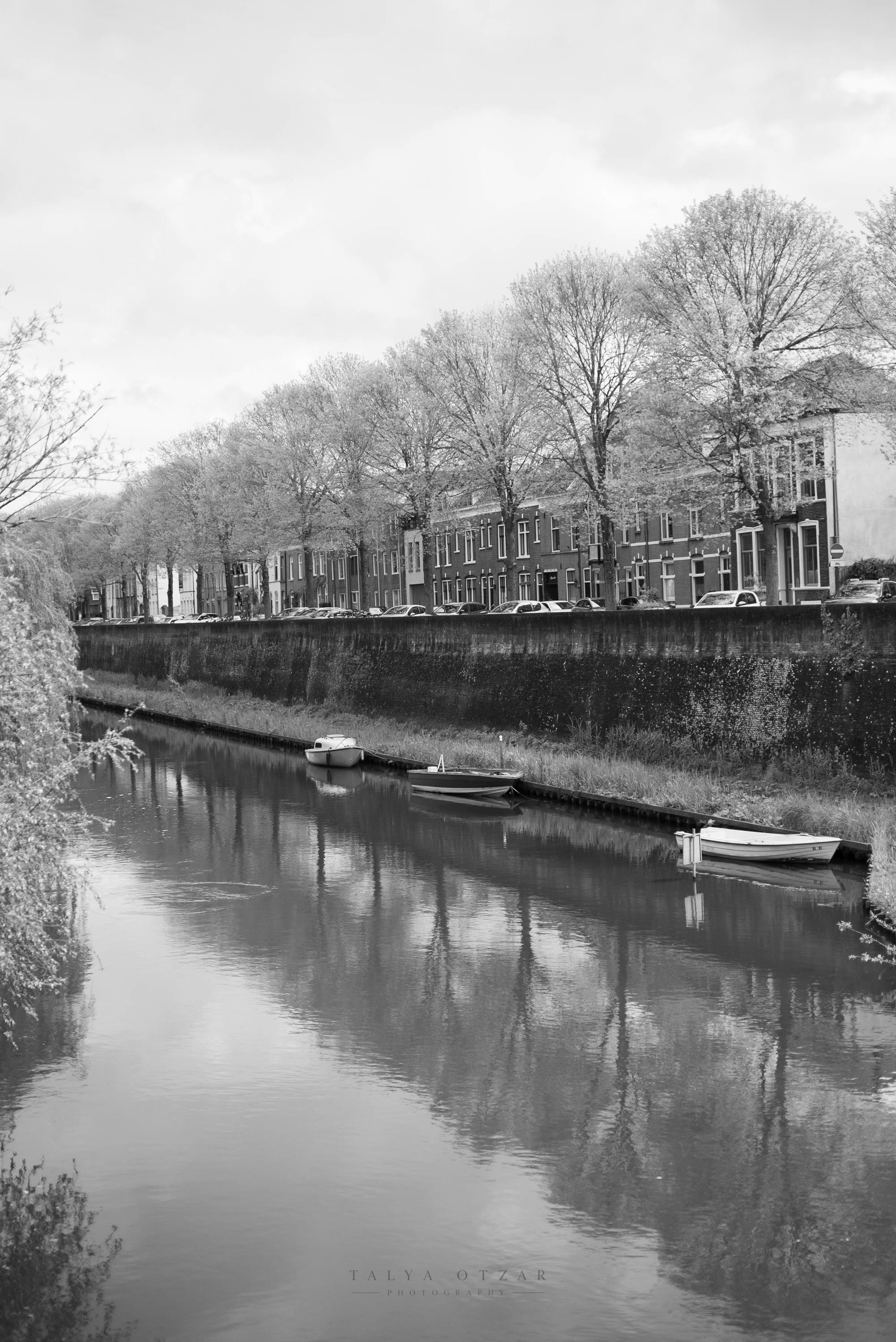 A line of canal houses and pollarded trees reflected in still water