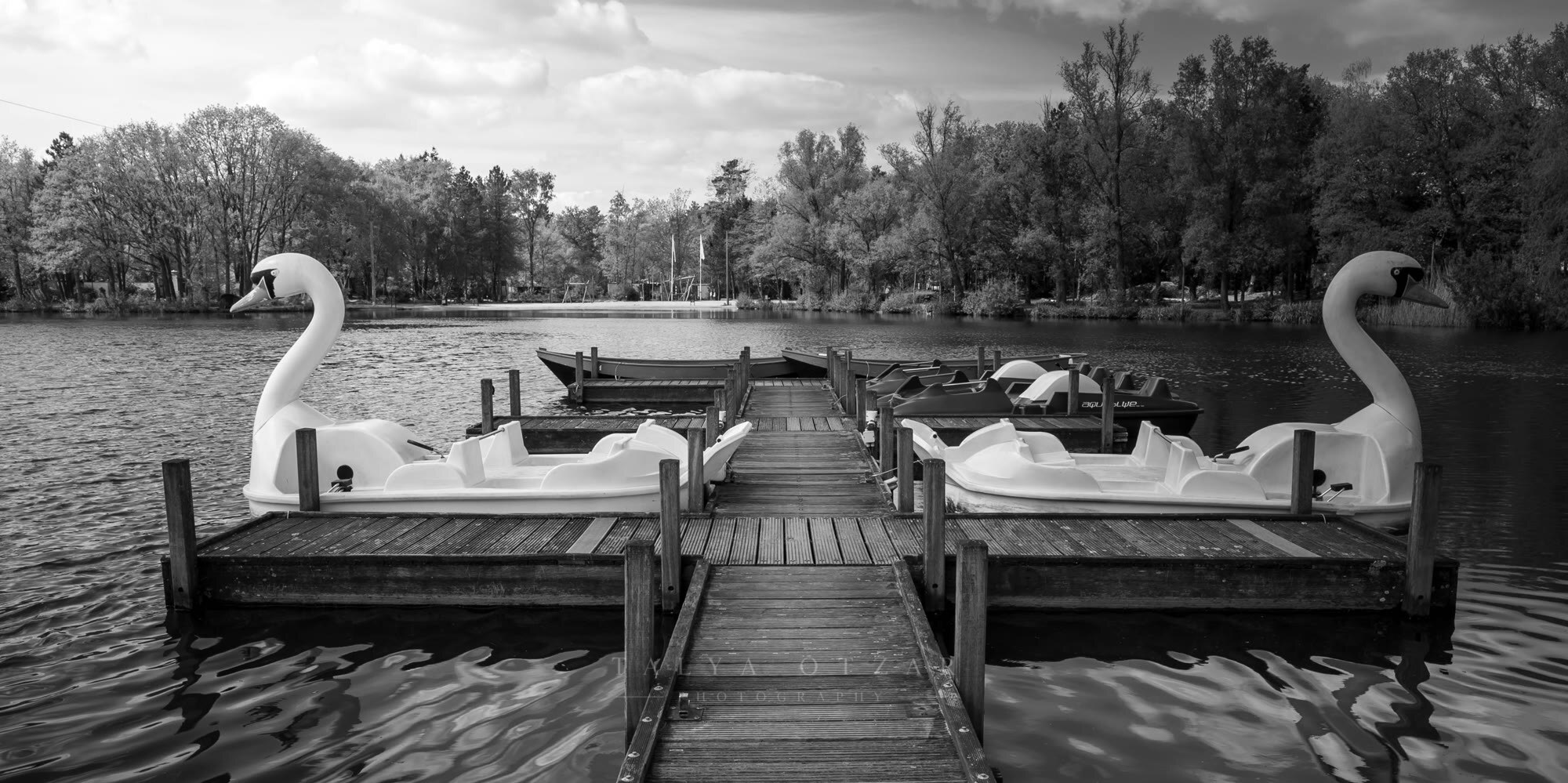 Two swan pedalos moored either side of the wooden jetty on the lake