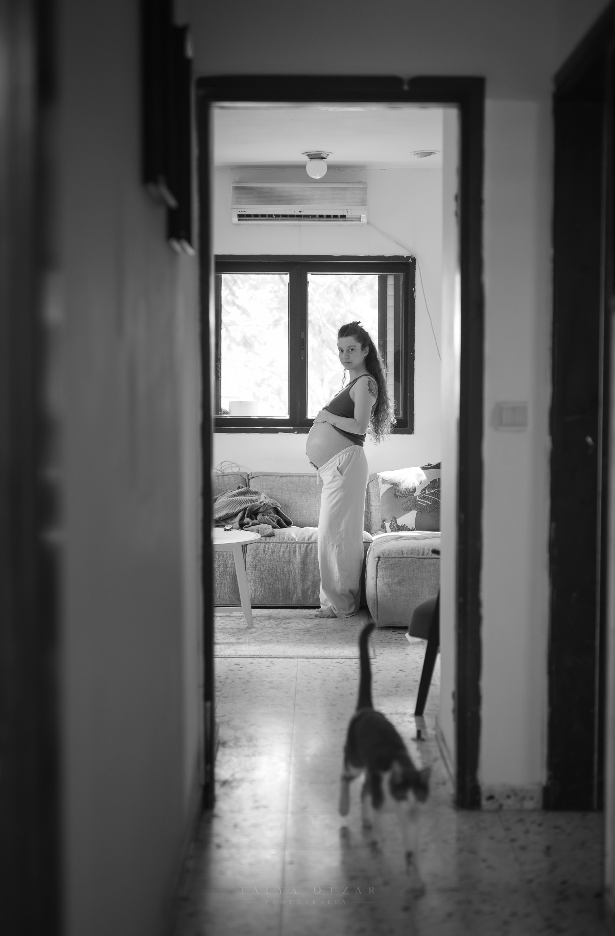 החתול הולך במסדרון לכיוון המצלמה, וסיגי עומדת בסלון מאחוריו