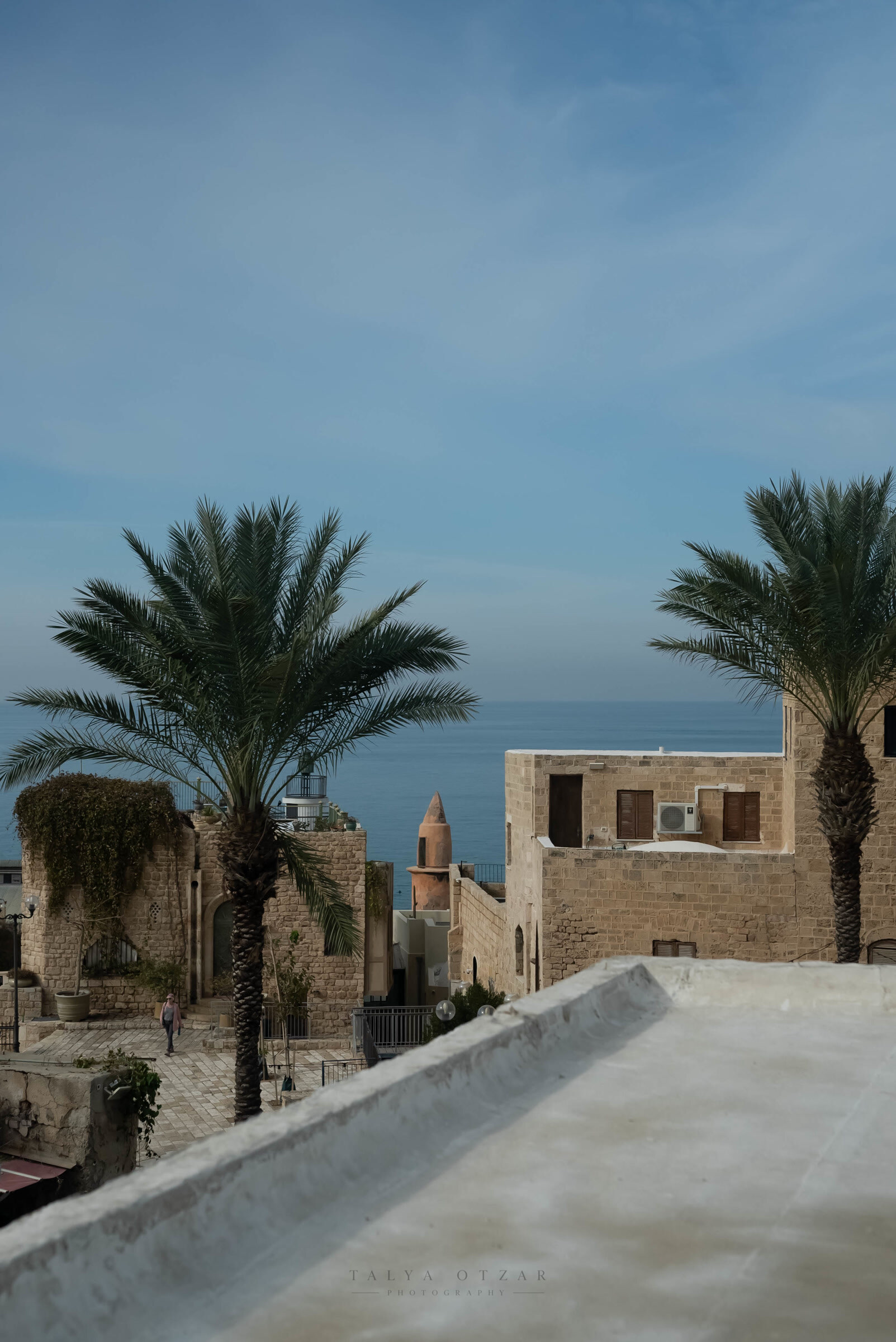 The view from the rooftop over the stone houses and palms of Old Jaffa to the Mediterranean