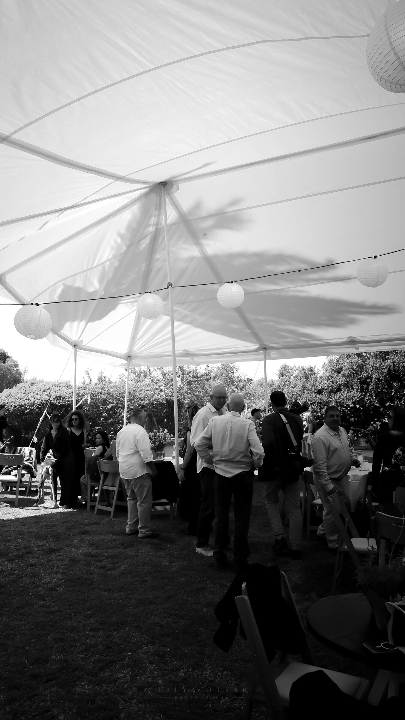 Guests standing under the marquee's paper lanterns before the meal
